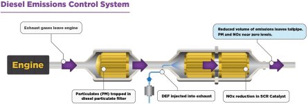 SCRGraphic-v3-nocaption_website_opt.jpg