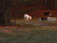 DSC00016.JPG