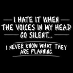 VOICES_PLANNING.jpg