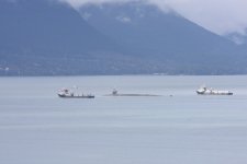 IMG_4409.JPG
