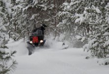IMG_3130.jpg
