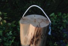 Ropeovertree.jpg