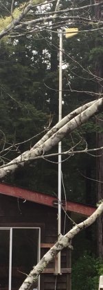 antenna.jpg