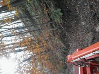 20161108_120418.jpg