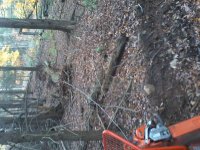 20161108_115327.jpg