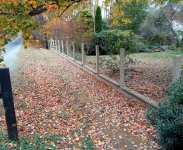 DSCN3313.JPG