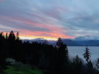 IMG_9465.jpg
