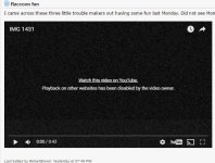 youtube cant play.JPG
