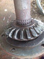 gear_1.jpg gear_1.jpg