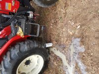 20170325_085821.jpg