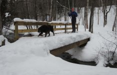 IMG_3954.jpg