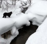 IMG_3969.jpg