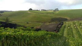 20150808_105340.jpg