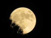 2016-11-13-supermoon1.jpg