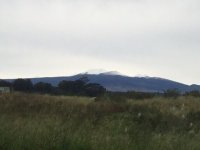 IMG_4702.JPG