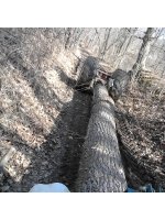 uphill.jpg