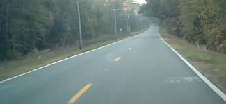 deer-crossing1.jpg