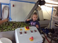 Lola-Picking-Leaves.JPG