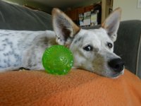 DSCN2011.jpg