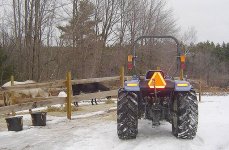 799095-Mules.jpg