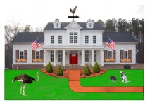 843008-house by bmac landscape lrg X Dog.JPG