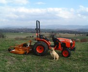 843075-mansbestfriends.jpg