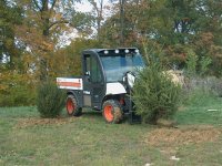 762644-IM003899 (Small).JPG