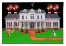 843124-house by bmac landscape lrg XII Dog.JPG