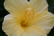 799684-IMG_1127.jpg