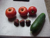 721637-MVC-737F.JPG