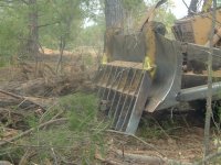 763221-Tree Removal 009 (Small).jpg