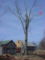 641209-DSC02091.JPG
