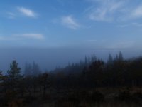 763778-1.jpg