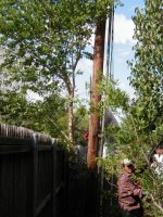 801405-PA100013 (Small).JPG