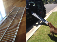 dog ramp.png