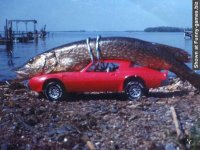 15-bigfish.jpg