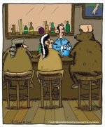 bear at bar.jpg