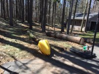 Skidding Logs 2.jpg