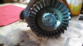 GEAR EXPOSED.jpg