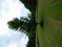 DSCN0282.JPG