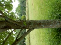 DSCN0283.JPG