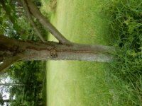 DSCN0285.JPG