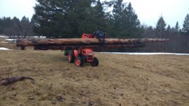 Grappling Timber.jpg