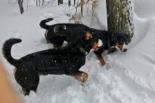 20170401_140348.jpg