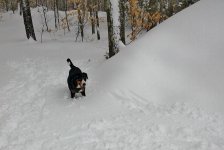 20170401_140315.jpg