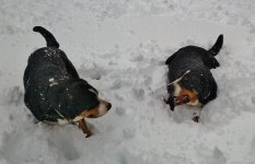 20170401_135736.jpg