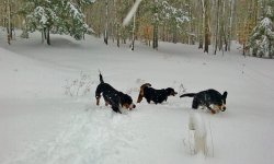 20170401_135714.jpg
