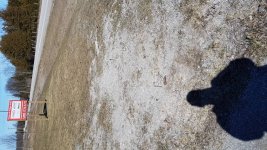 20170401_150552.jpg