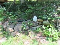 IMG_5361.JPG