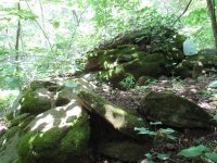 IMG_5363.JPG